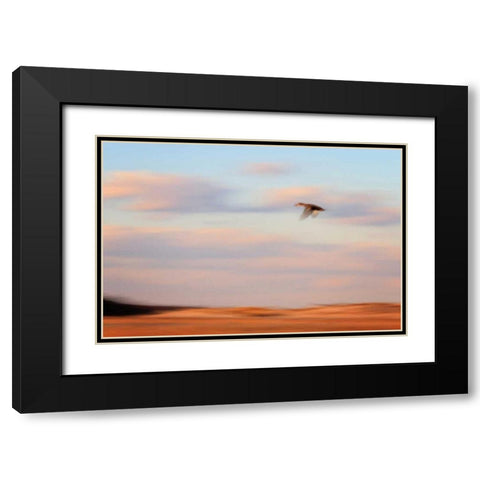 Flight Black Modern Wood Framed Art Print with Double Matting by Gendreau, Katherine