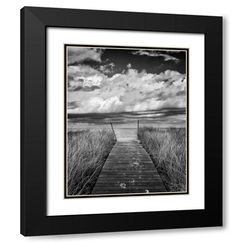 Oak Bluffs Beach Path Crop Black Modern Wood Framed Art Print with Double Matting by Gendreau, Katherine