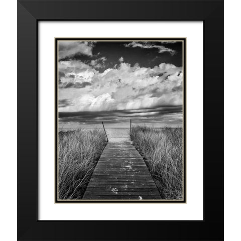 Oak Bluffs Beach Path Crop Black Modern Wood Framed Art Print with Double Matting by Gendreau, Katherine