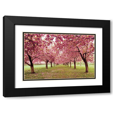 Hall of Cherries Black Modern Wood Framed Art Print with Double Matting by Gendreau, Katherine