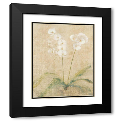 Orchid Cool Black Modern Wood Framed Art Print with Double Matting by Blum, Cheri