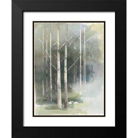 Birch Grove II Black Modern Wood Framed Art Print with Double Matting by Tillmon, Avery