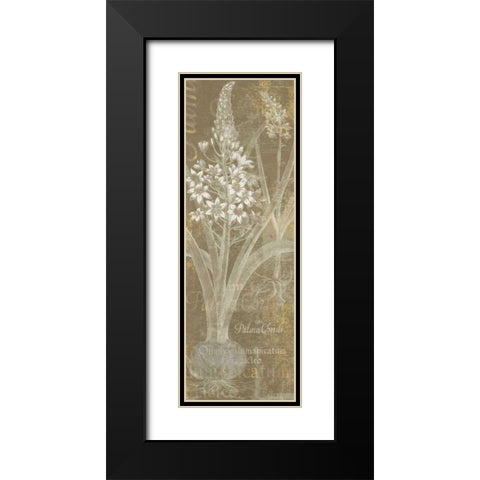 Flower Lines II Black Modern Wood Framed Art Print with Double Matting by Schlabach, Sue