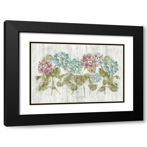 Vibrant Row of Hydrangea on Wood Black Modern Wood Framed Art Print with Double Matting by Blum, Cheri