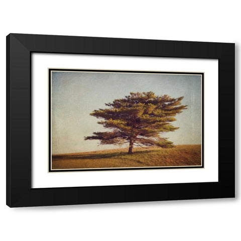 Windward Tree Black Modern Wood Framed Art Print with Double Matting by Gendreau, Katherine