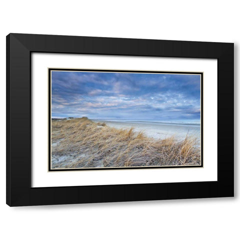 Gold in the Hills Black Modern Wood Framed Art Print with Double Matting by Gendreau, Katherine
