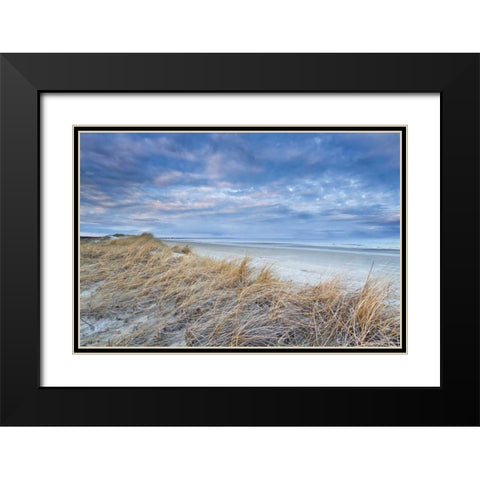 Gold in the Hills Black Modern Wood Framed Art Print with Double Matting by Gendreau, Katherine