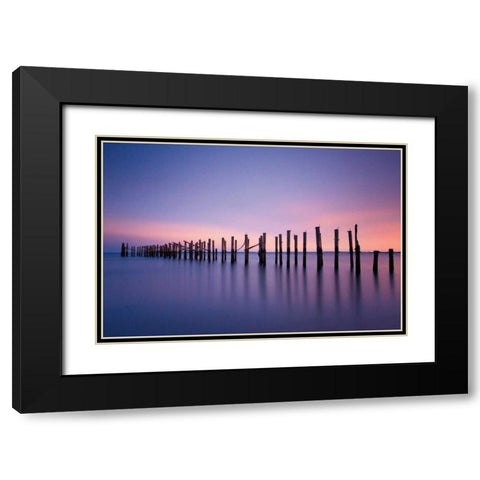 Still Color Black Modern Wood Framed Art Print with Double Matting by Gendreau, Katherine