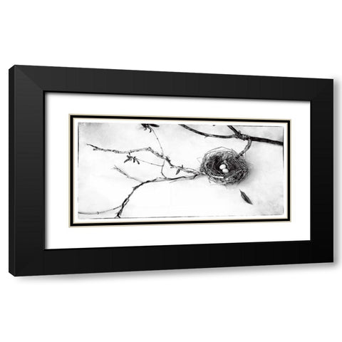 Nest and Branch II Black Modern Wood Framed Art Print with Double Matting by Van Swearingen, Debra