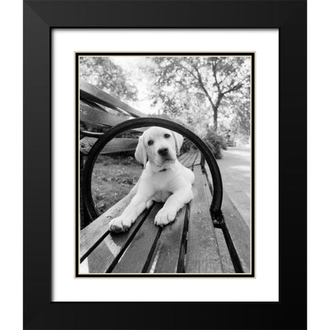 Never Doubt That You Can Black Modern Wood Framed Art Print with Double Matting by Dratfield, Jim