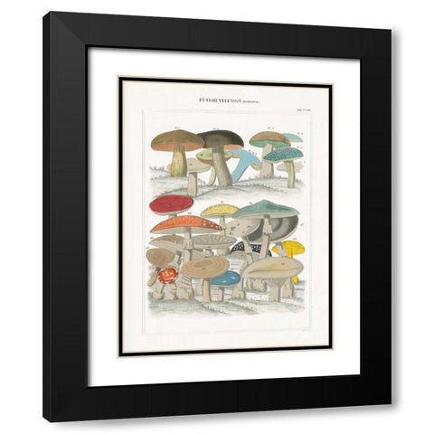 Funghi Italiani II Black Modern Wood Framed Art Print with Double Matting by Wild Apple Portfolio