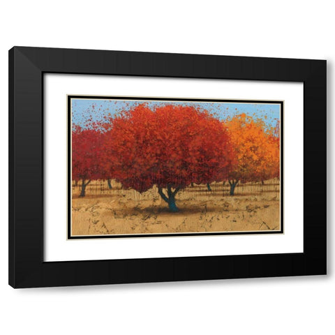 Orange Trees II Black Modern Wood Framed Art Print with Double Matting by Wiens, James