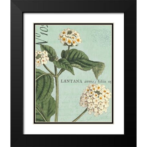 Botanique Bleu I Black Modern Wood Framed Art Print with Double Matting by Wild Apple Portfolio