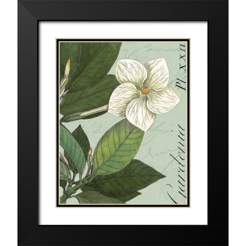 Botanique Bleu III Black Modern Wood Framed Art Print with Double Matting by Wild Apple Portfolio