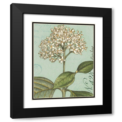 Botanique Bleu IV Black Modern Wood Framed Art Print with Double Matting by Wild Apple Portfolio