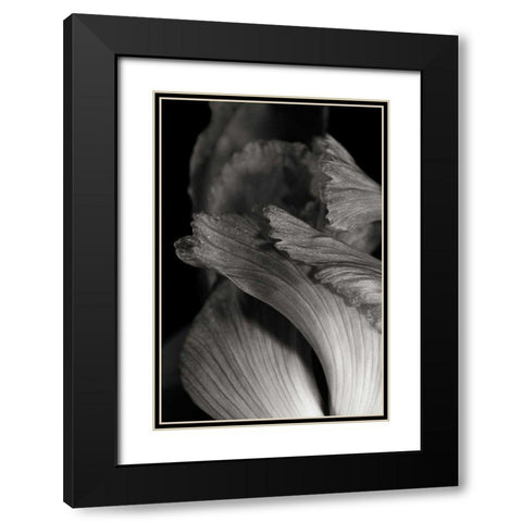 Iris Abstract I Black Modern Wood Framed Art Print with Double Matting by Marshall, Laura