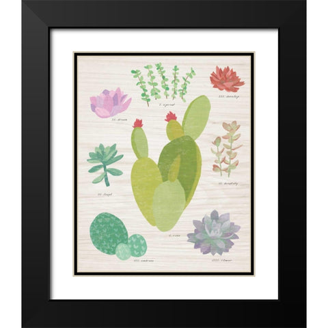 Succulent Chart III on Wood Black Modern Wood Framed Art Print with Double Matting by Wild Apple Portfolio