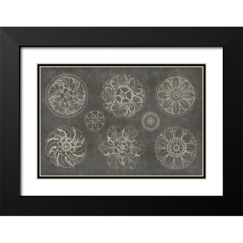 Rosette IX Gray Black Modern Wood Framed Art Print with Double Matting by Wild Apple Portfolio