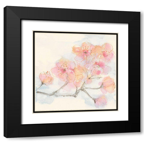 Pink Blossoms III Black Modern Wood Framed Art Print with Double Matting by Paschke, Chris