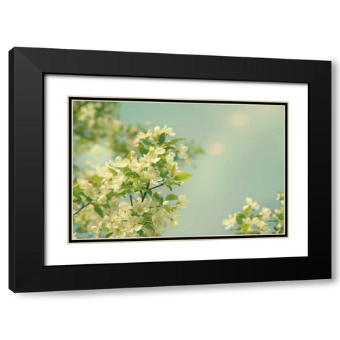 Spring Beauty I Black Modern Wood Framed Art Print with Double Matting by Schlabach, Sue