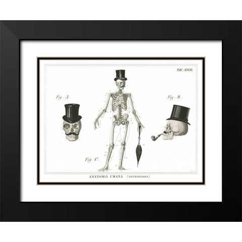 Dandy Bones Black Modern Wood Framed Art Print with Double Matting by Schlabach, Sue