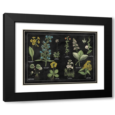 Botanical Floral Chart I Black and White Black Modern Wood Framed Art Print with Double Matting by Wild Apple Portfolio