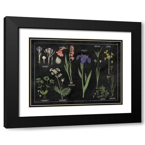 Botanical Floral Chart II Black and White Black Modern Wood Framed Art Print with Double Matting by Wild Apple Portfolio