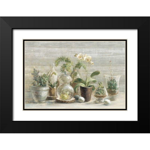 Greenhouse Orchids on Wood Black Modern Wood Framed Art Print with Double Matting by Nai, Danhui