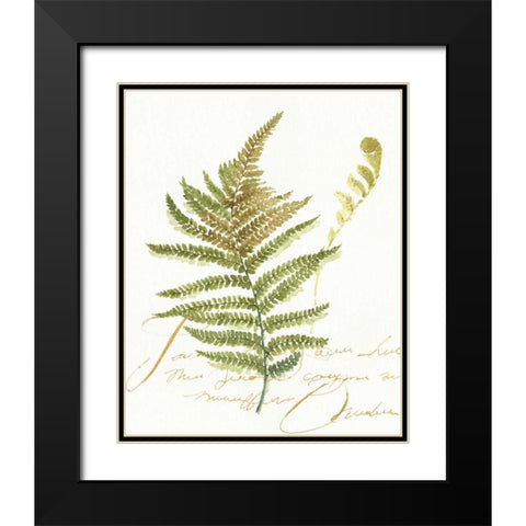 My Greenhouse Fern II Black Modern Wood Framed Art Print with Double Matting by Audit, Lisa