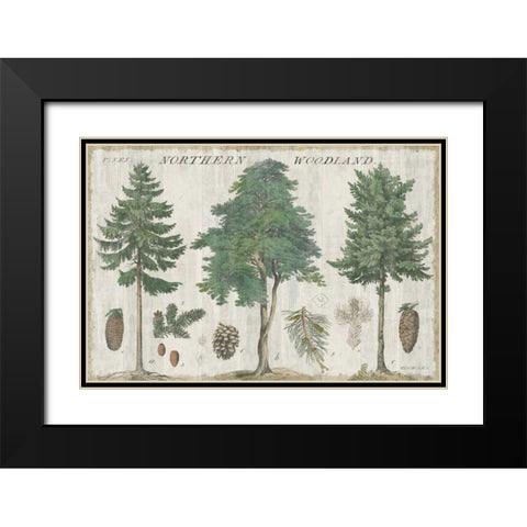 Woodland Chart I Black Modern Wood Framed Art Print with Double Matting by Schlabach, Sue