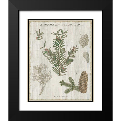 Woodland Chart II Black Modern Wood Framed Art Print with Double Matting by Schlabach, Sue