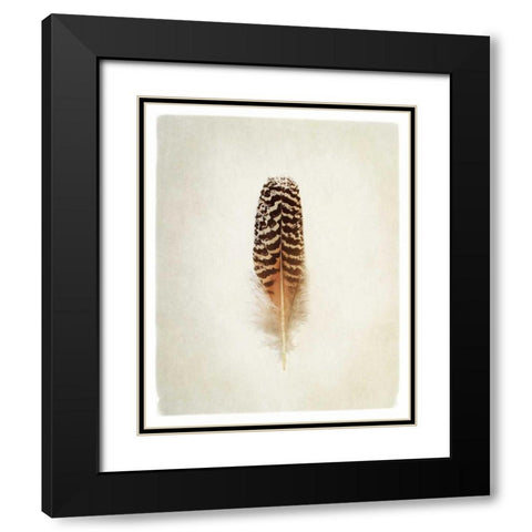 Feather I Black Modern Wood Framed Art Print with Double Matting by Van Swearingen, Debra