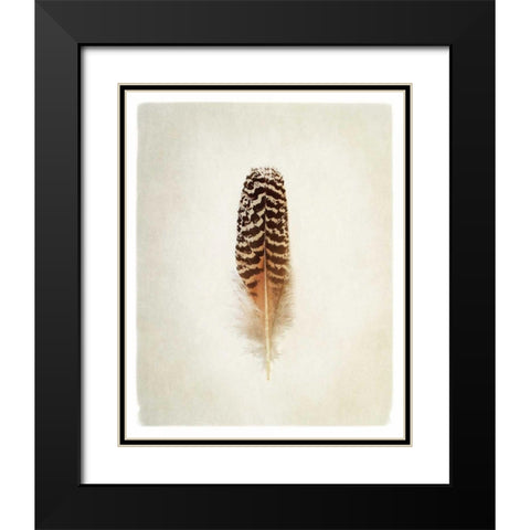 Feather I Black Modern Wood Framed Art Print with Double Matting by Van Swearingen, Debra