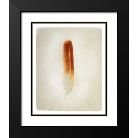 Feather II Black Modern Wood Framed Art Print with Double Matting by Van Swearingen, Debra