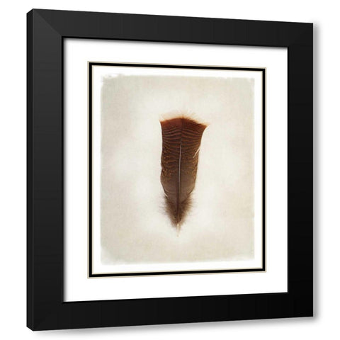 Feather III Black Modern Wood Framed Art Print with Double Matting by Van Swearingen, Debra