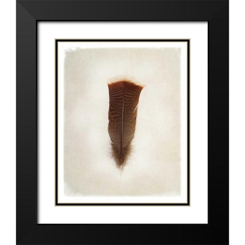Feather III Black Modern Wood Framed Art Print with Double Matting by Van Swearingen, Debra