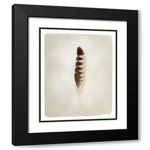 Feather IV Black Modern Wood Framed Art Print with Double Matting by Van Swearingen, Debra