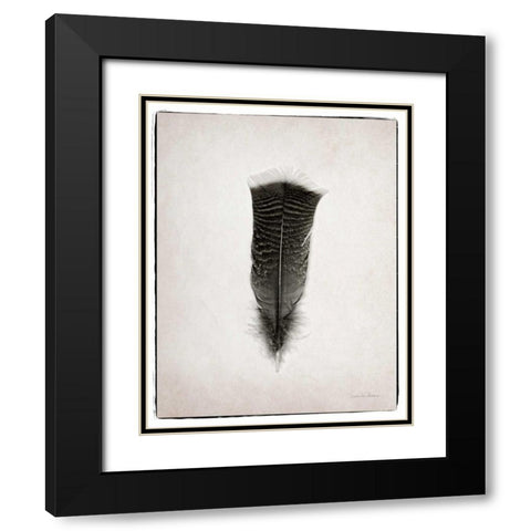 Feather III BW  Black Modern Wood Framed Art Print with Double Matting by Van Swearingen, Debra