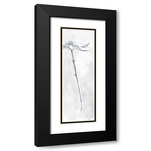 Solitary Dogwood V Gray Black Modern Wood Framed Art Print with Double Matting by Paschke, Chris