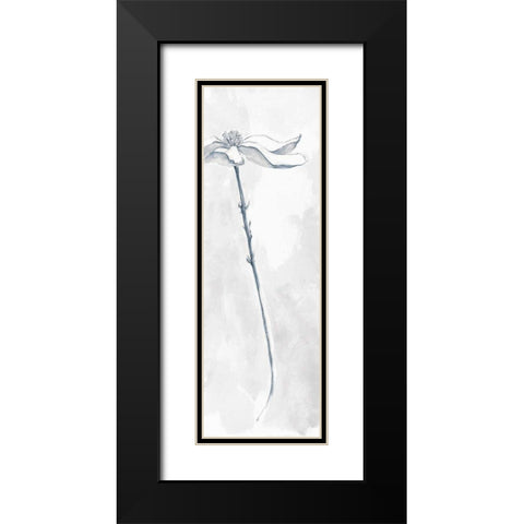 Solitary Dogwood V Gray Black Modern Wood Framed Art Print with Double Matting by Paschke, Chris