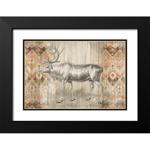 Natural History Lodge Southwest IX Black Modern Wood Framed Art Print with Double Matting by Wild Apple Portfolio