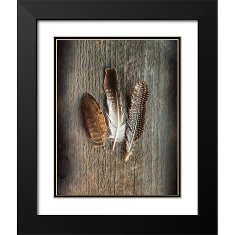 Feather Collection II Black Modern Wood Framed Art Print with Double Matting by Schlabach, Sue