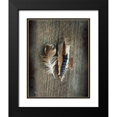 Feather Collection III Black Modern Wood Framed Art Print with Double Matting by Schlabach, Sue