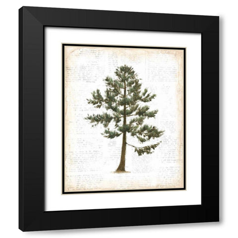 Into the Woods Trees I Black Modern Wood Framed Art Print with Double Matting by Adams, Emily