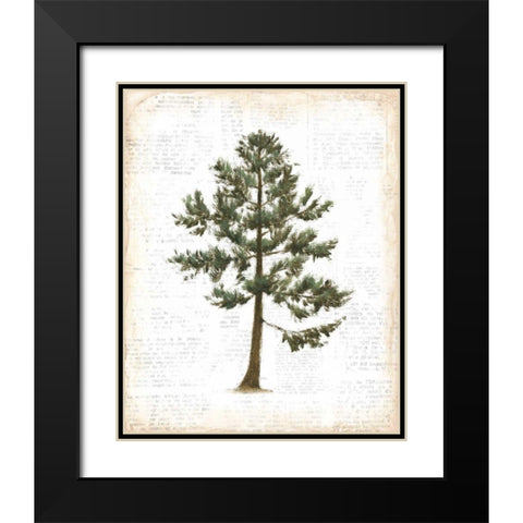 Into the Woods Trees I Black Modern Wood Framed Art Print with Double Matting by Adams, Emily
