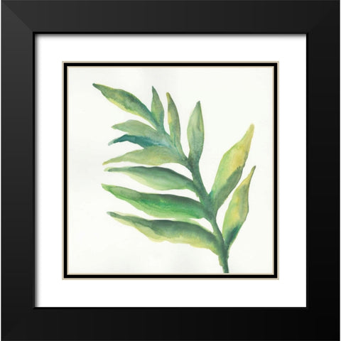 Tropical Palm I Black Modern Wood Framed Art Print with Double Matting by Paschke, Chris