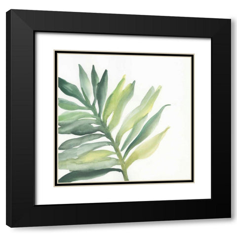 Tropical Palm III Black Modern Wood Framed Art Print with Double Matting by Paschke, Chris