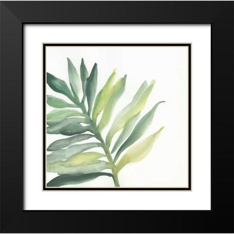 Tropical Palm III Black Modern Wood Framed Art Print with Double Matting by Paschke, Chris