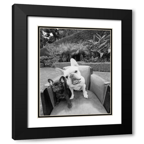 Always Friends Black Modern Wood Framed Art Print with Double Matting by Dratfield, Jim