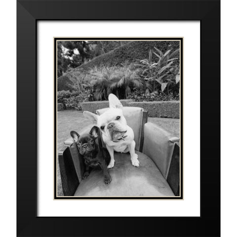 Always Friends Black Modern Wood Framed Art Print with Double Matting by Dratfield, Jim